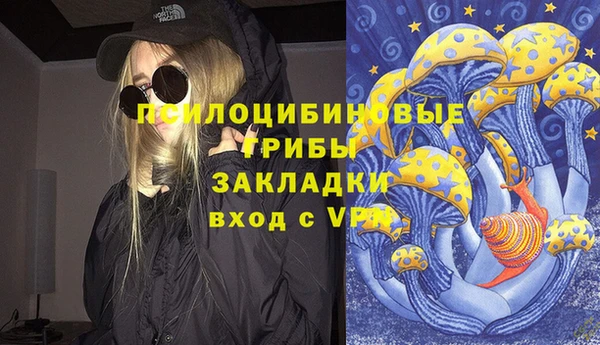 альфа пвп Щигры