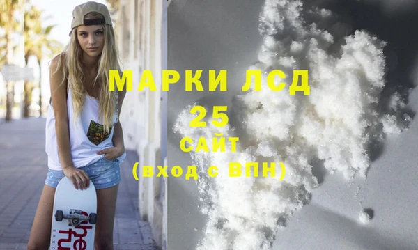 индика Бронницы