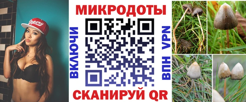 Псилоцибиновые грибы Cubensis  Барыш 