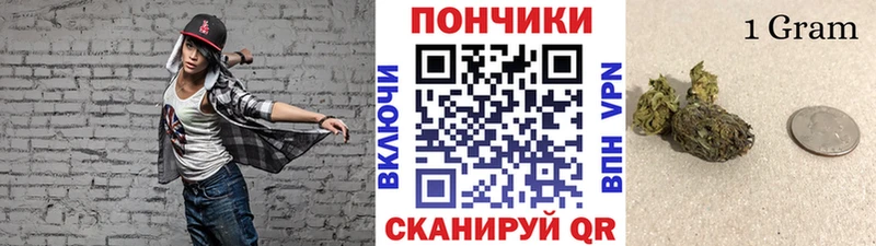 гидра как войти как найти наркотики Барыш Канабис сатива